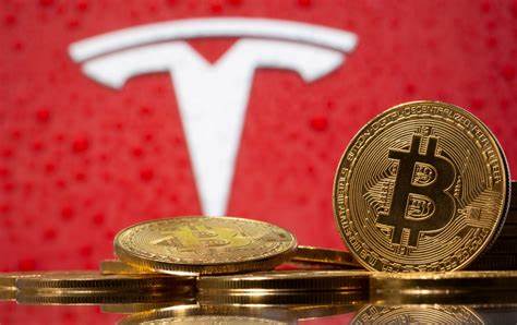  E. Muskas: Bitcoin yra likvidi alternatyva gryniesiems pinigams.
