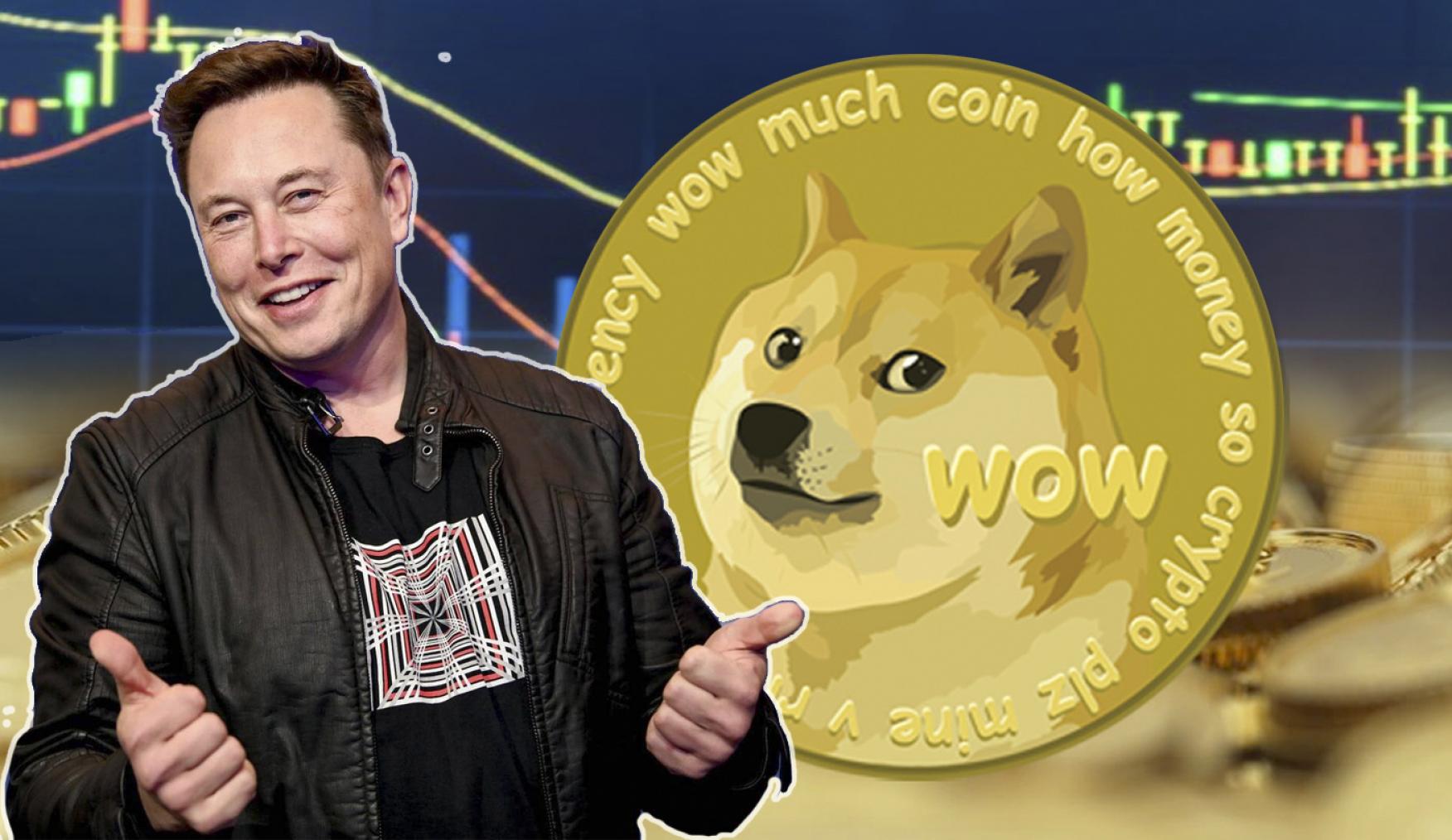  E. Muskas teigia, kad Dogecoin turi valiutos potencialą