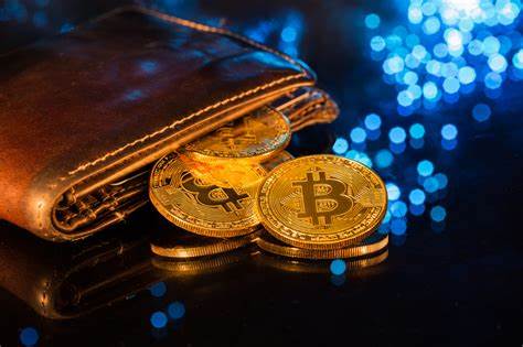  Kaip Bitcoin’ininkai reguliuos reguliuotojus?