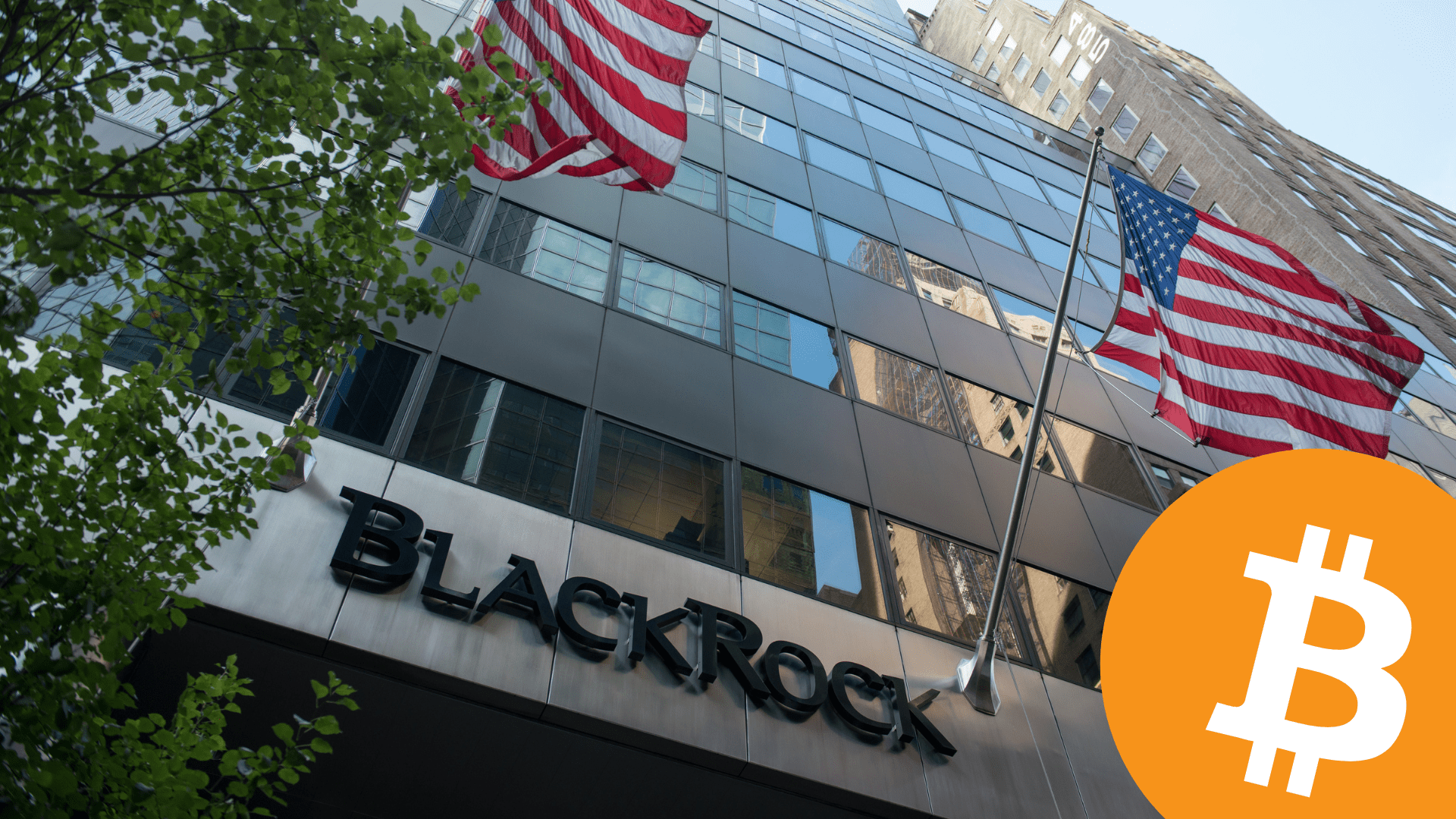  Buvęs Blackrock vadovas sako, kad Bitcoin taps kiekvieno žmogaus portfelio dalimi
