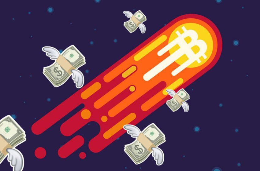  Bitcoin taikosi į 25K. Banginiai užsipirkinėja.