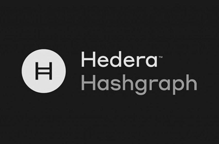  HBAR fondas teigia, kad Hedera blokų grandinė patiria techninių pažeidimų