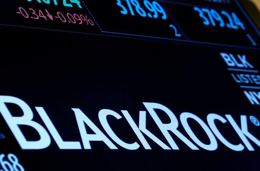  Blackrock CEO L. Fink metiniame akcininkų laiške aprašo skaitmeninio turto pažangą