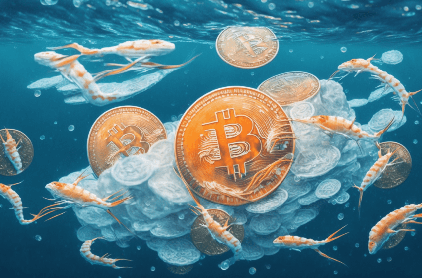  Krevetės kaupia bitcoin sparčiausiai nuo FTX žlugimo